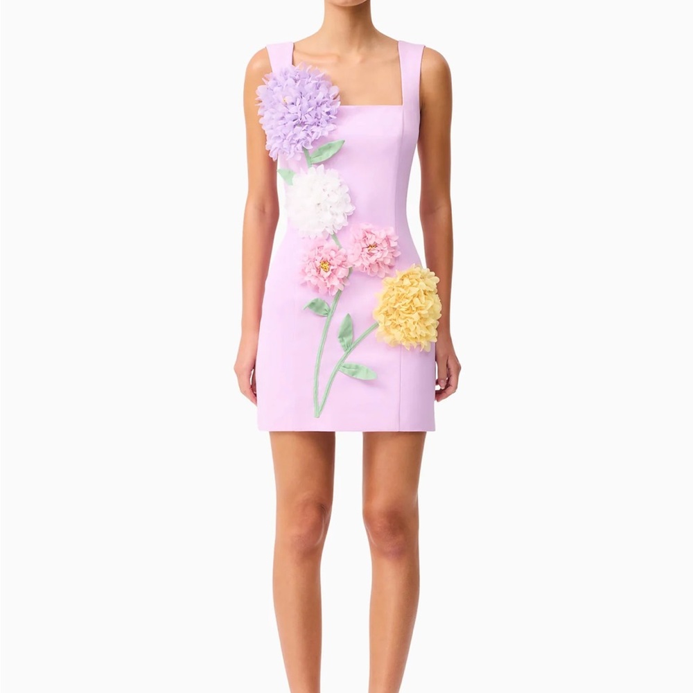 Elliatt Buttercup Embroidered Party Mini Dress in Purple